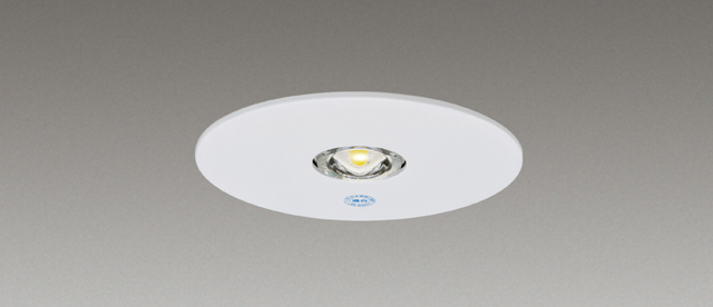 ＬＥＤ非常灯専用形電源別置φ１００