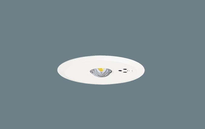 ＬＥＤ非常灯専用型小空間Ф１００自己点